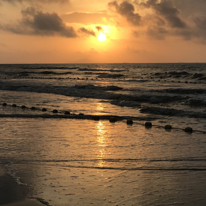 欧美裸体柔术十八禁
